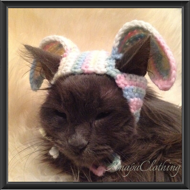 CatDog Wig Easter Bunny