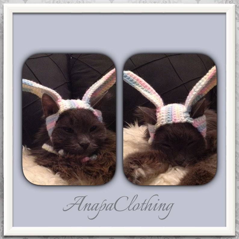 CatDog Wig Easter Bunny