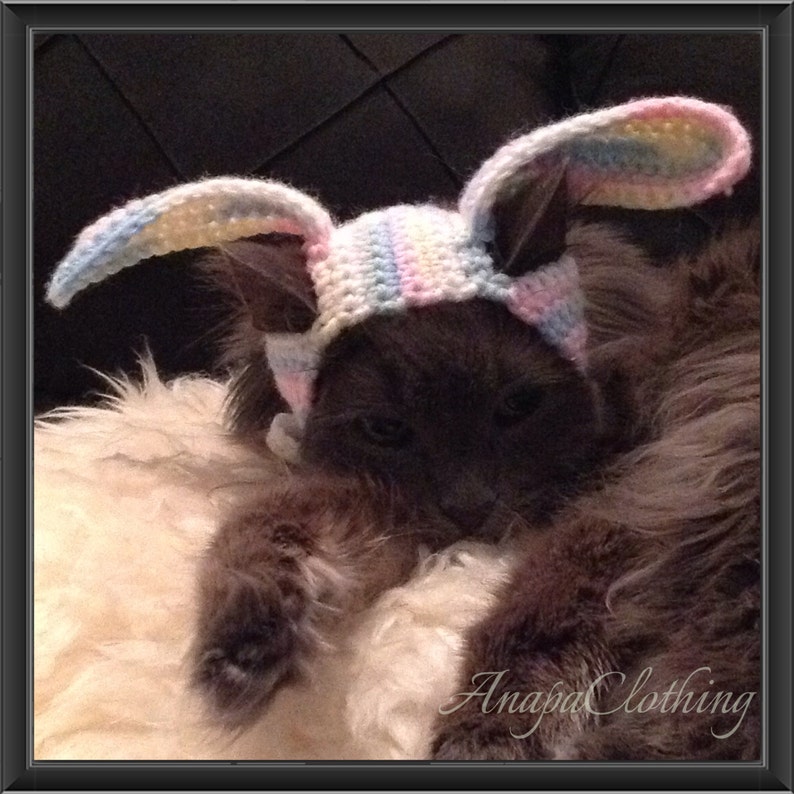 CatDog Wig Easter Bunny