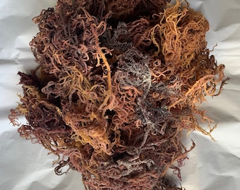 Raw "Irish" Sea Moss-Full Spectrum- organic, wild crafted, 4oz eco-friendly kraft bag