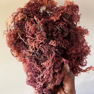 Raw Caribbean Purple Sea Moss - (soak and blend) 1 pound bulk bag