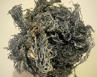 Raw Green Sea Moss *rare* DETOX Type 1 pound Bulk Bag