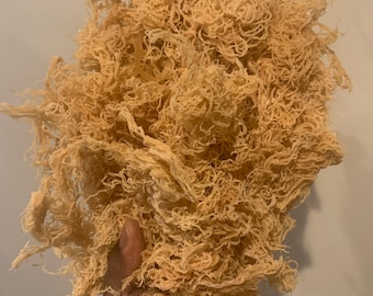 Raw Golden Sea Moss Wildcrafted - NEVER POOL GROWN - 1 pound Bulk Bag