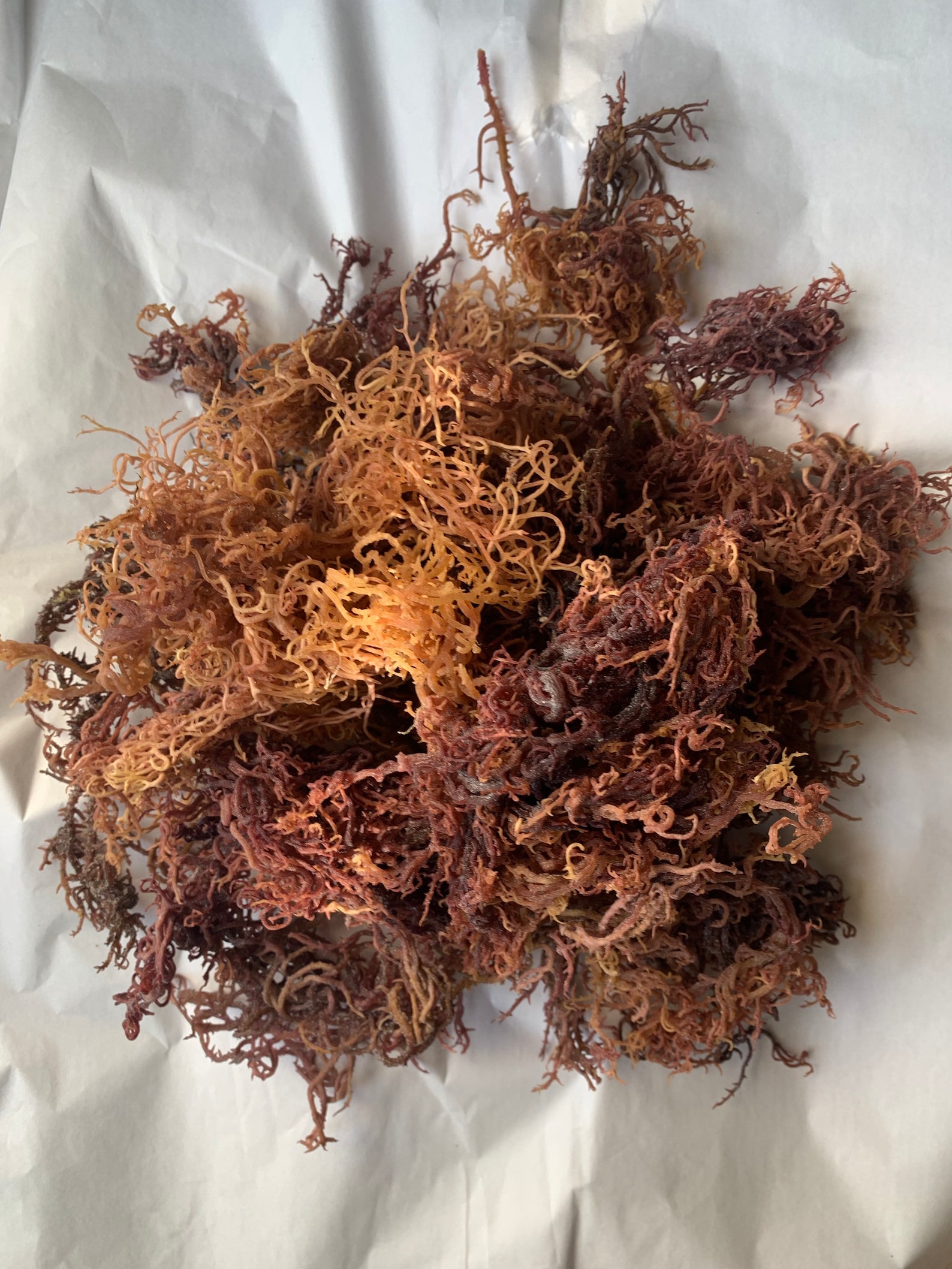 Raw Sea Moss Full Spectrum Business Startup Pack