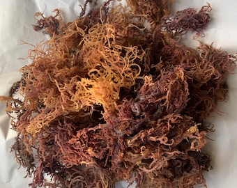 Raw Sea Moss Full Spectrum business startup pack - 44pounds/20kg bulk package for resellers, get your sea moss gel business started today