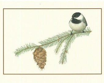 Black-capped Chickadee (Set of 4 Cards)