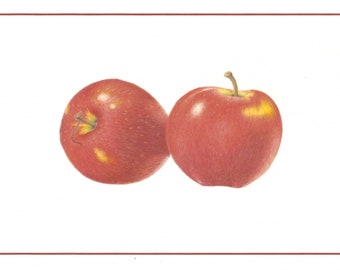 Crunch: Cosmic Crisp Apples (Set of 4 Cards)