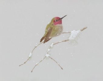 Snow Day: Anna's Hummingbird