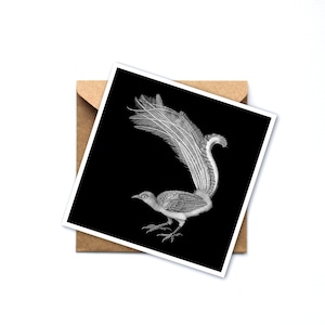 Greeting Card Lyrebird - Birthday card - Bird greeting card - black and white greeting card - card to frame