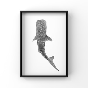 WHALE SHARK PRINT - 12x18 Art Print - whale sketch - whale art print - ocean art - nautical print - whale shark art - beach house decor