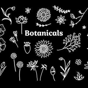 Flower vector, Botanical clip art, 30 Botanical vectors, hand drawn flower svg, svg file, botanical icons, hand drawn clipart, botanical SVG