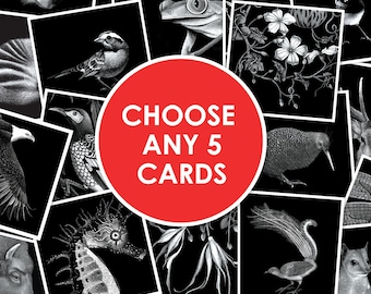 Greeting Card Bundle - CHOOSE ANY 5 cards - Greeting Card set - Birthday card bundle - best sellers - any occasion cards - wildlife cards