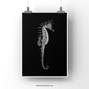 SEAHORSE PRINT - A4 seahorse print - ocean art print - black and white print - seahorse wall art - beach house art - nautical print