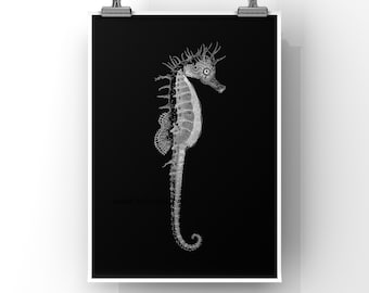 SEAHORSE PRINT - 8x10 seahorse print - ocean art print - black and white - fish prints wall art - beach house art - nautical - Vintage style