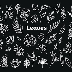 Leaves clipart, 42 Leaf vectors, hand drawn leaves svg, leaf vector, leaf icons, hand drawn clipart, leaf clip art, SVG file, vector graphic