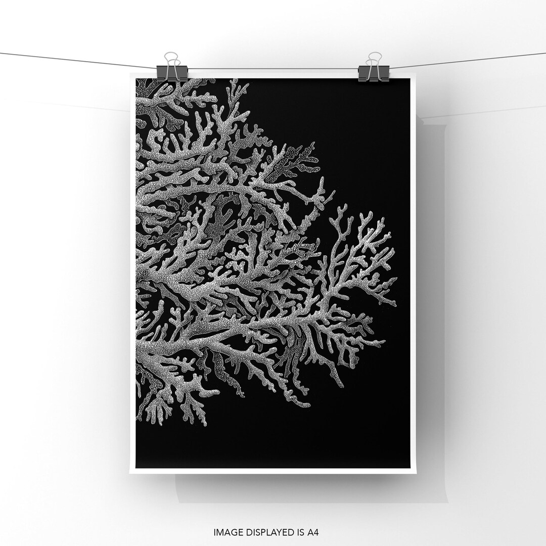 CORAL PRINT 8x10 Print Coral Wall Art Ocean Art Print Etsy