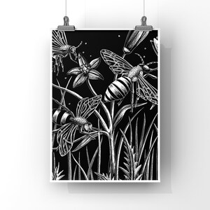 BEE PRINT - 8x10 - bee art print - Nature print - insect art - gift - home decor - housewarming gift - black and white print
