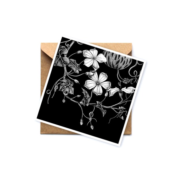 Gourd Flower - Greeting card - Botanical card - Floral greeting card