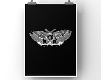 Moth Art Print – Black and White Insect Illustration (8x10)