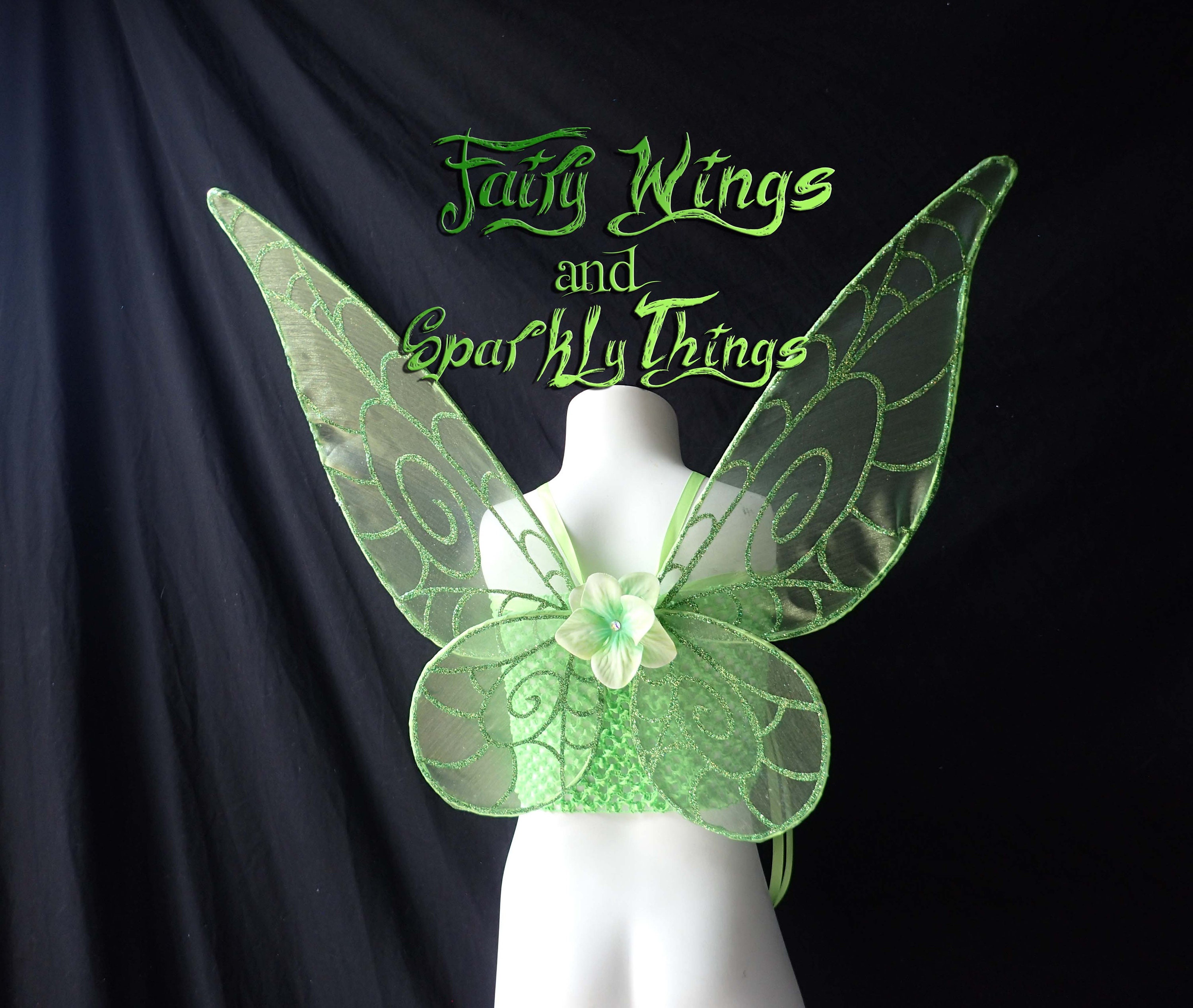 Disney Fairy Wings Template