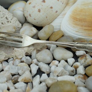 Puede incluir: Un tenedor de plata con un mango decorativo descansa sobre una cama de guijarros blancos y beige. El tenedor está rodeado de conchas.