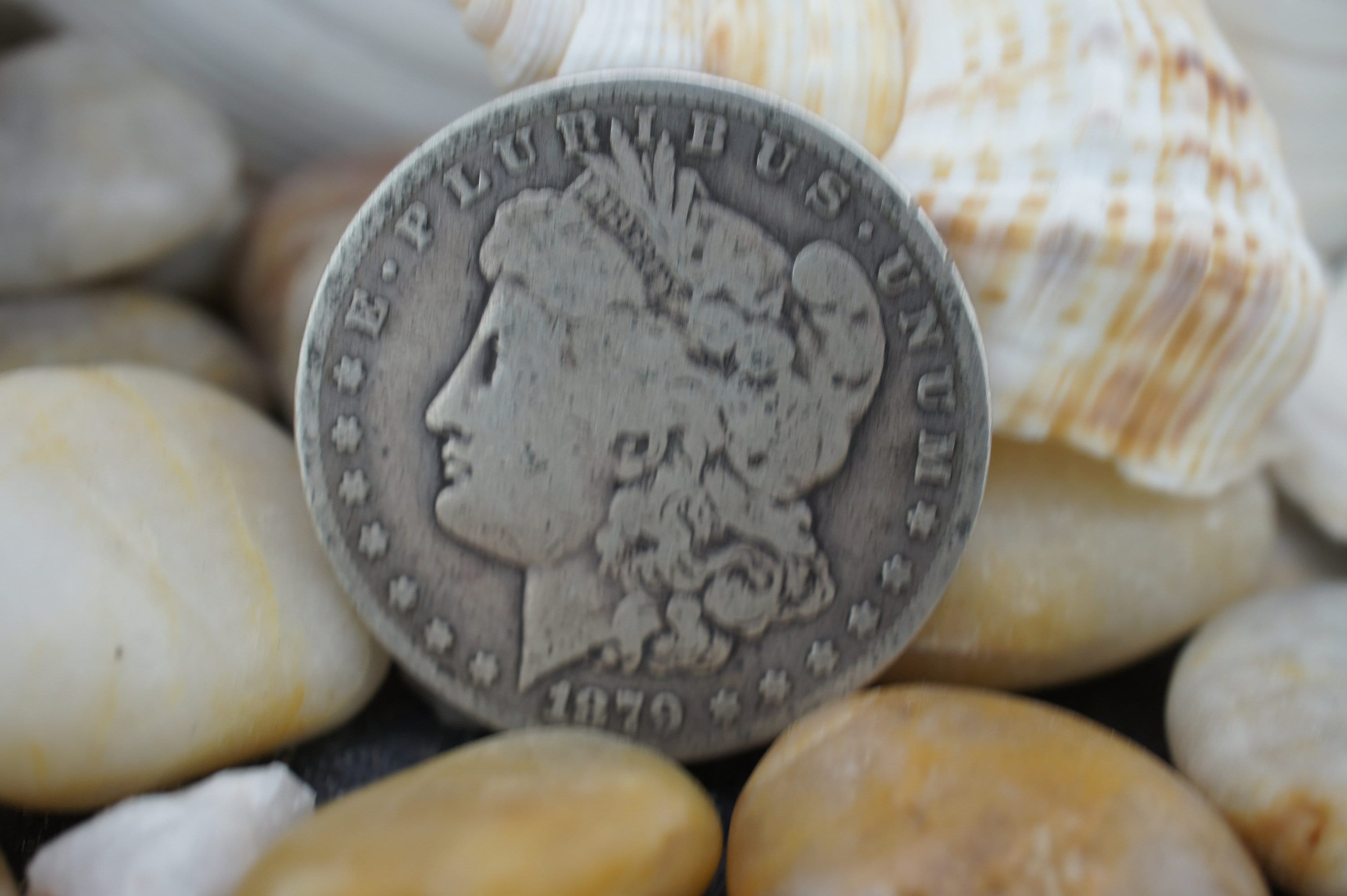 1879 morgan dollar - Etsy 日本