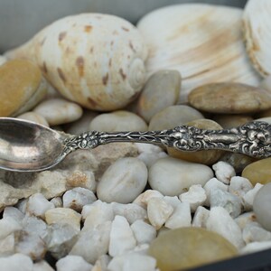Art Vintage Lily Orange Fruit Spoon Old Blossom Patent No Monograms Sterling silver Tea Teaspoon/Serving Spoon kitchen floral design HST