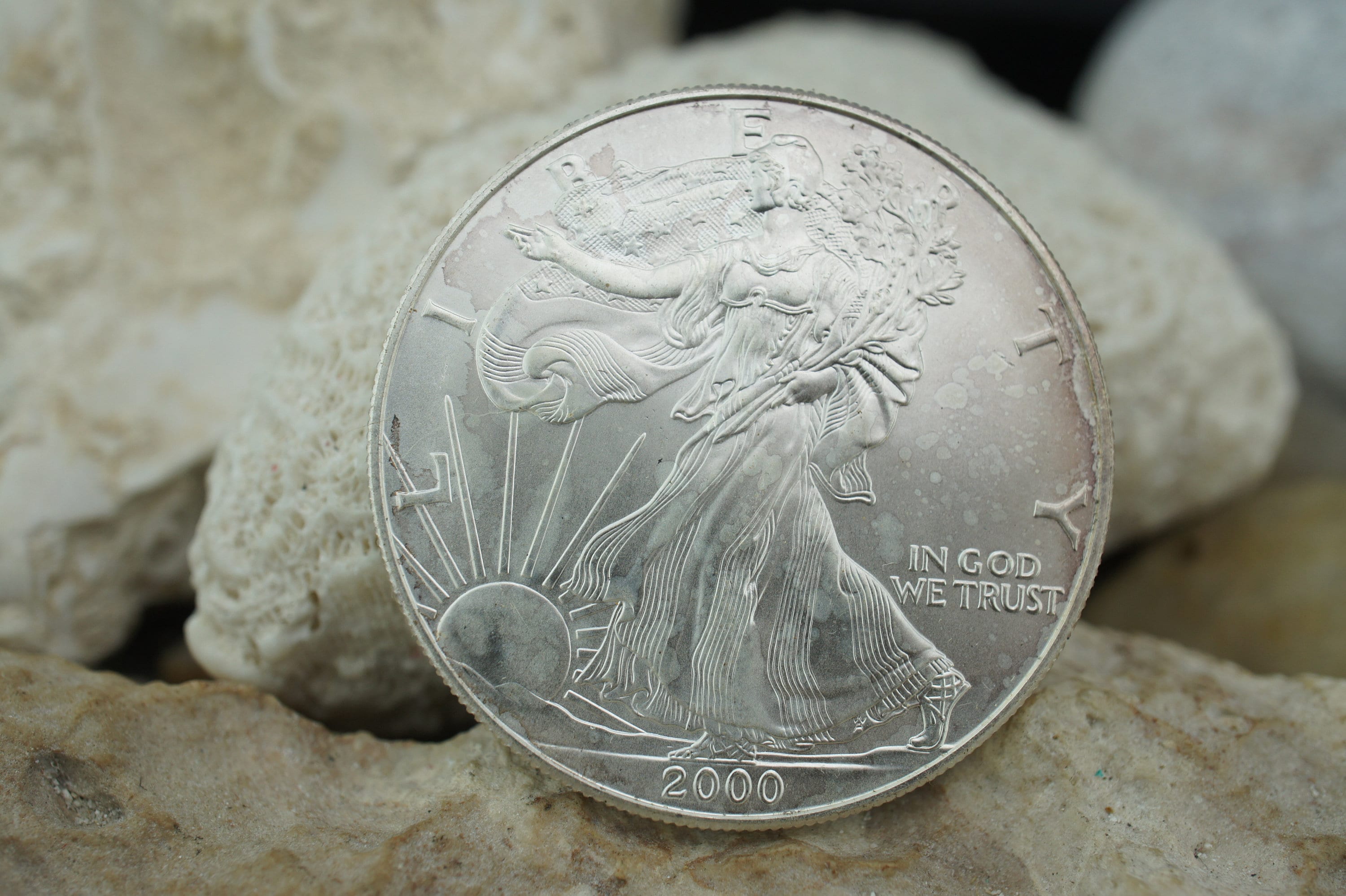 Liberty one dollar coin 2000 - Etsy 日本