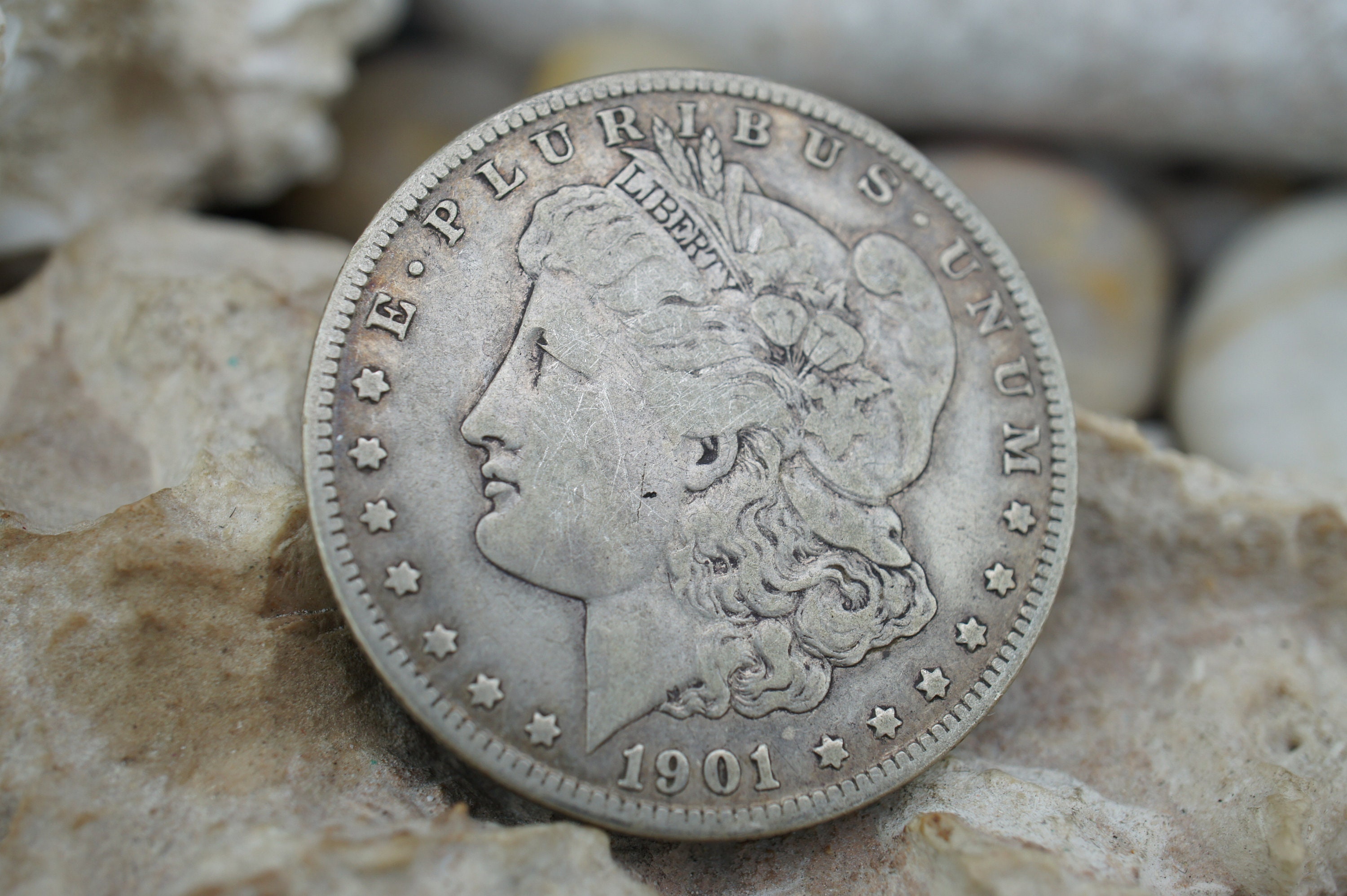 Silver 1901-O Morgan Dollar Fine One Dollar United States of