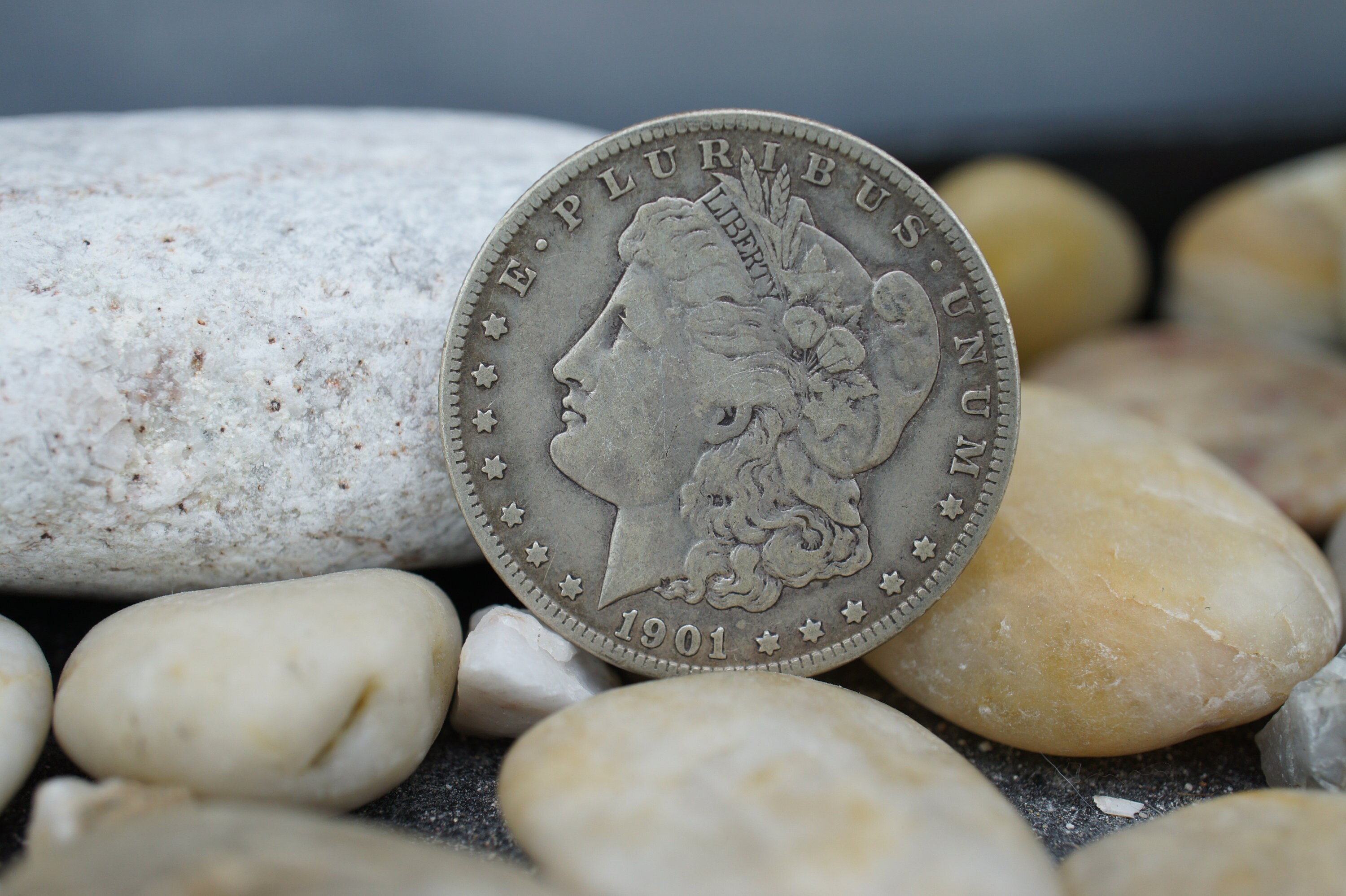 Silver 1901-O Morgan Dollar Fine One Dollar United States of