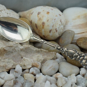 Sterling Silver 925 Art Vintage Antique Spoon Souvenir Spoon Flower Leaves 5 7/8&#39;&#39; long Monogram Circa Modernist Kitchen HST