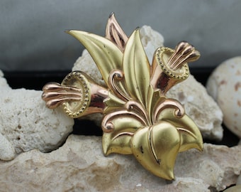 Boucle Ou Clip Vintage Figurant Une Fleur Naturelle - Argent Et Vermeil - Occasion