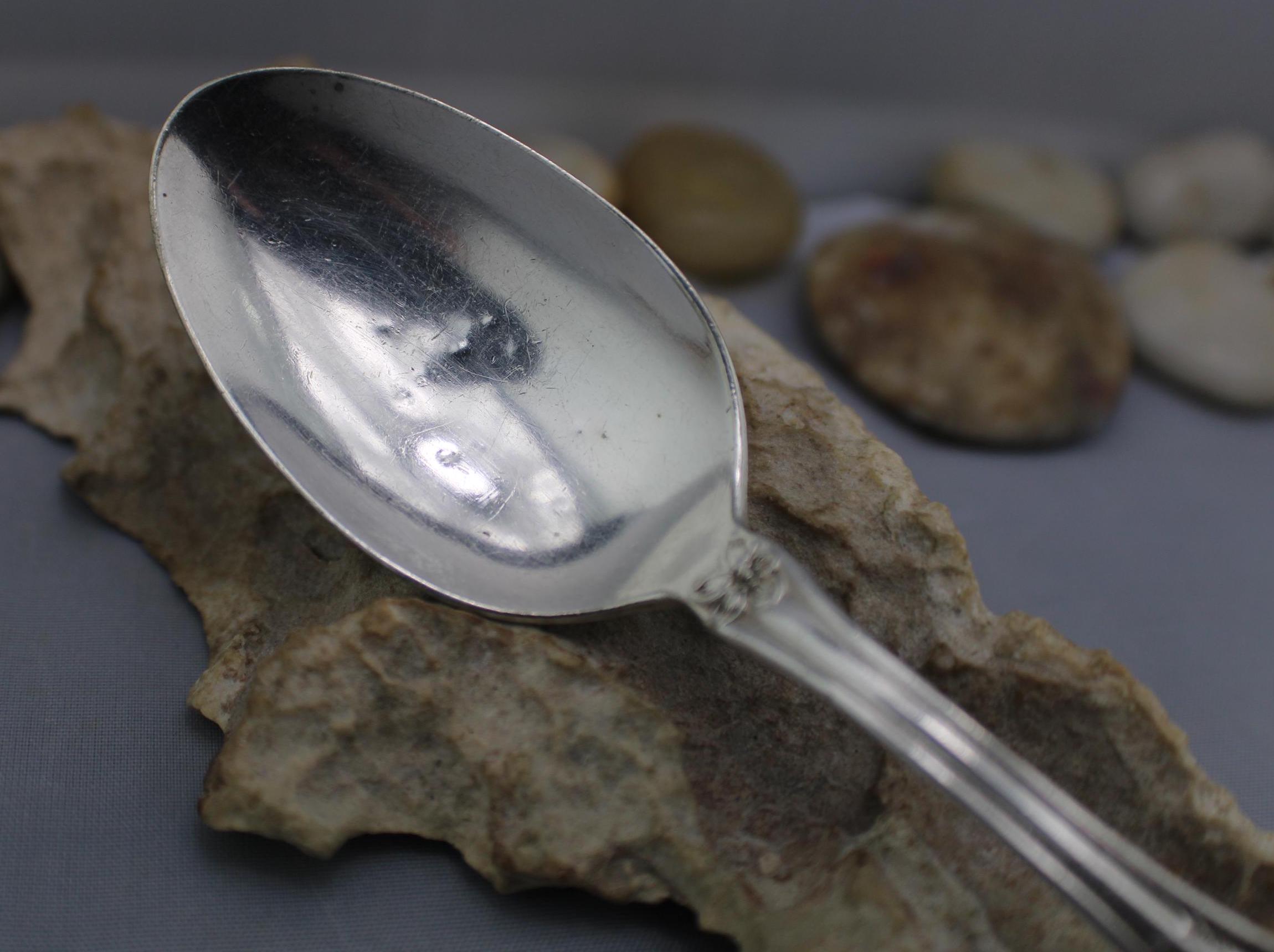 PAPAS ブランドブック 1989 SPRING vol.10 Vintage PAT. Nov. 29 1910 WM. Rogers & Son Teaspoon, Floral