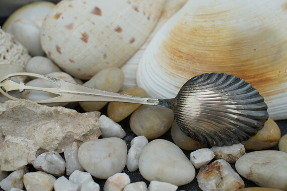 925 Solid Sterling Silver Sugar Spoon Dessert 5 3… - image 4