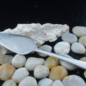 Puede incluir: Un servidor de pastel de plata con una superficie lisa y pulida. El servidor está descansando sobre un lecho de piedras blancas y beige.