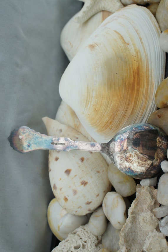 925 Solid Sterling Silver Sugar Spoon Dessert 5 1… - image 4