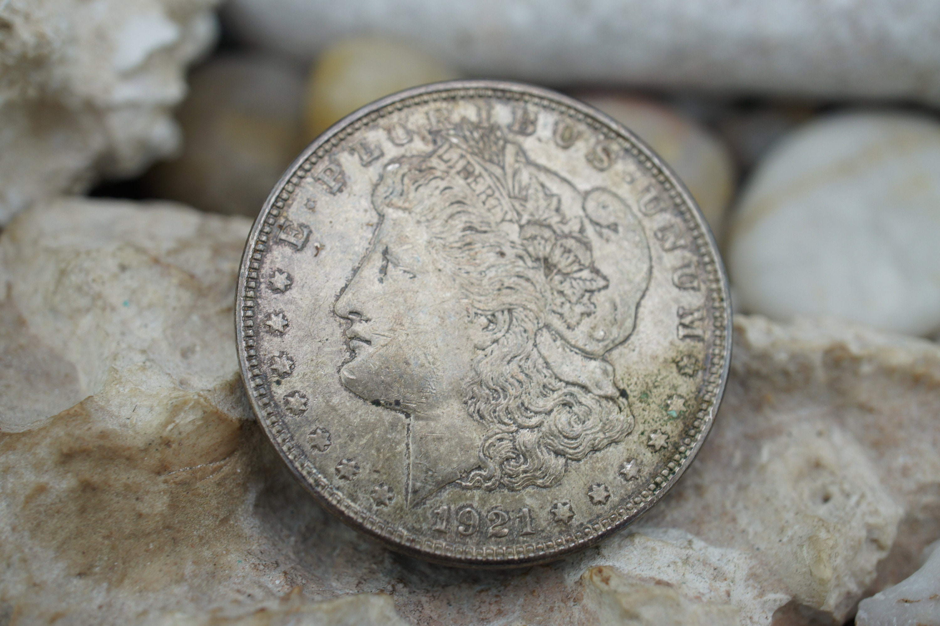 2883【アメリカ銀貨】1921年(D)1ドル銀貨　モルガン USA モルガンダラー 1ドル銀貨 1921年銘 自由の女神 準未品