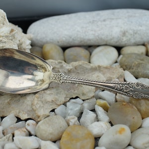Gorham 925 Vintage Sterling silver Serving Spoon  PAT 1899 Dessert Tea Coffee 5 3/4&quot; 24g kitchen Dinner home Floral design HST2