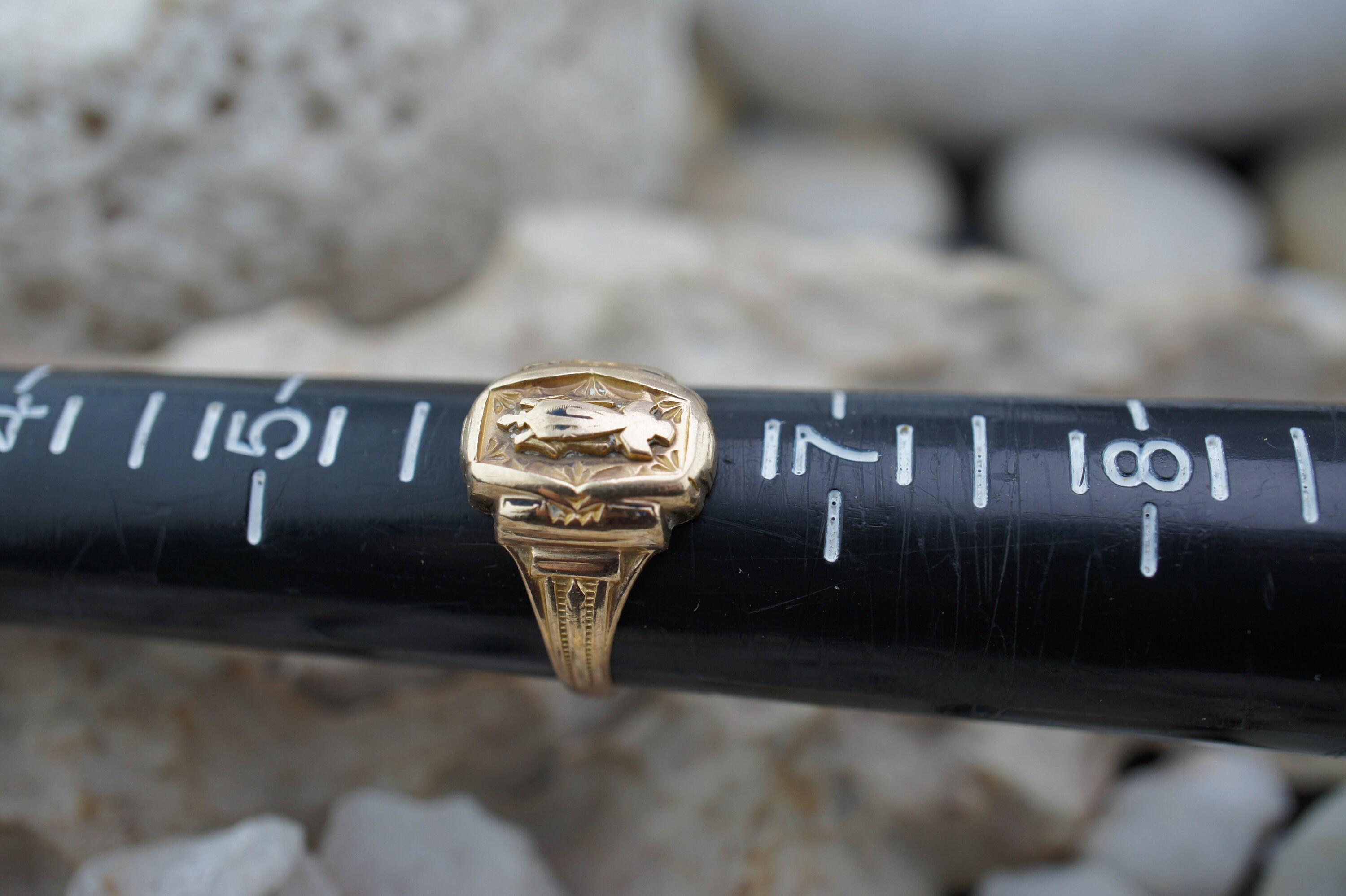 How to Package Your Herf Jones Graduation Announcements | TikTok, image size:3000x1997