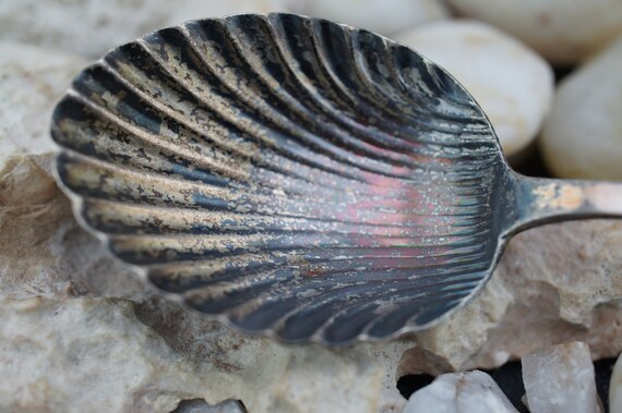 925 Solid Sterling Silver Sugar Spoon Dessert 5 3… - image 2