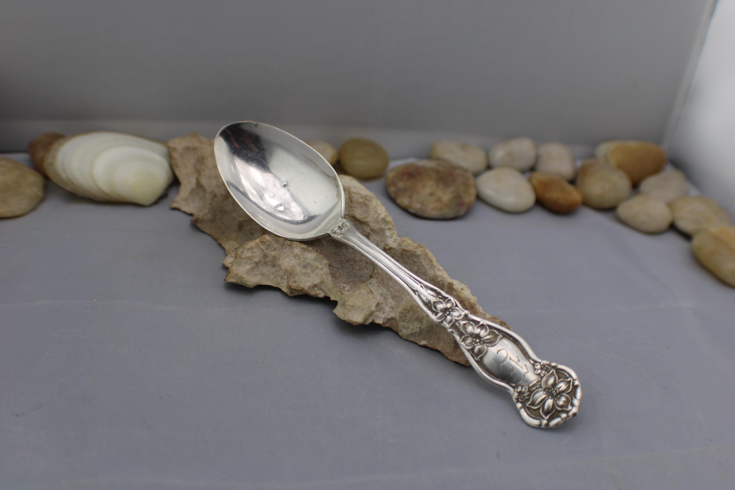 Vintage PAT. Nov. 29 1910 WM. Rogers & Son Teaspoon, Floral Design