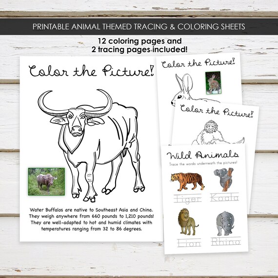 Printable Animal Themed Coloring Tracing Worksheets, Preschool
