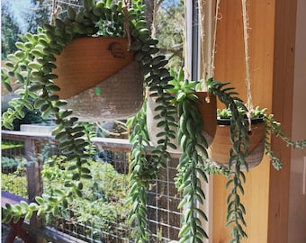 Handmade Hanging Planter: Stoneware Pottery with Hemp Twine