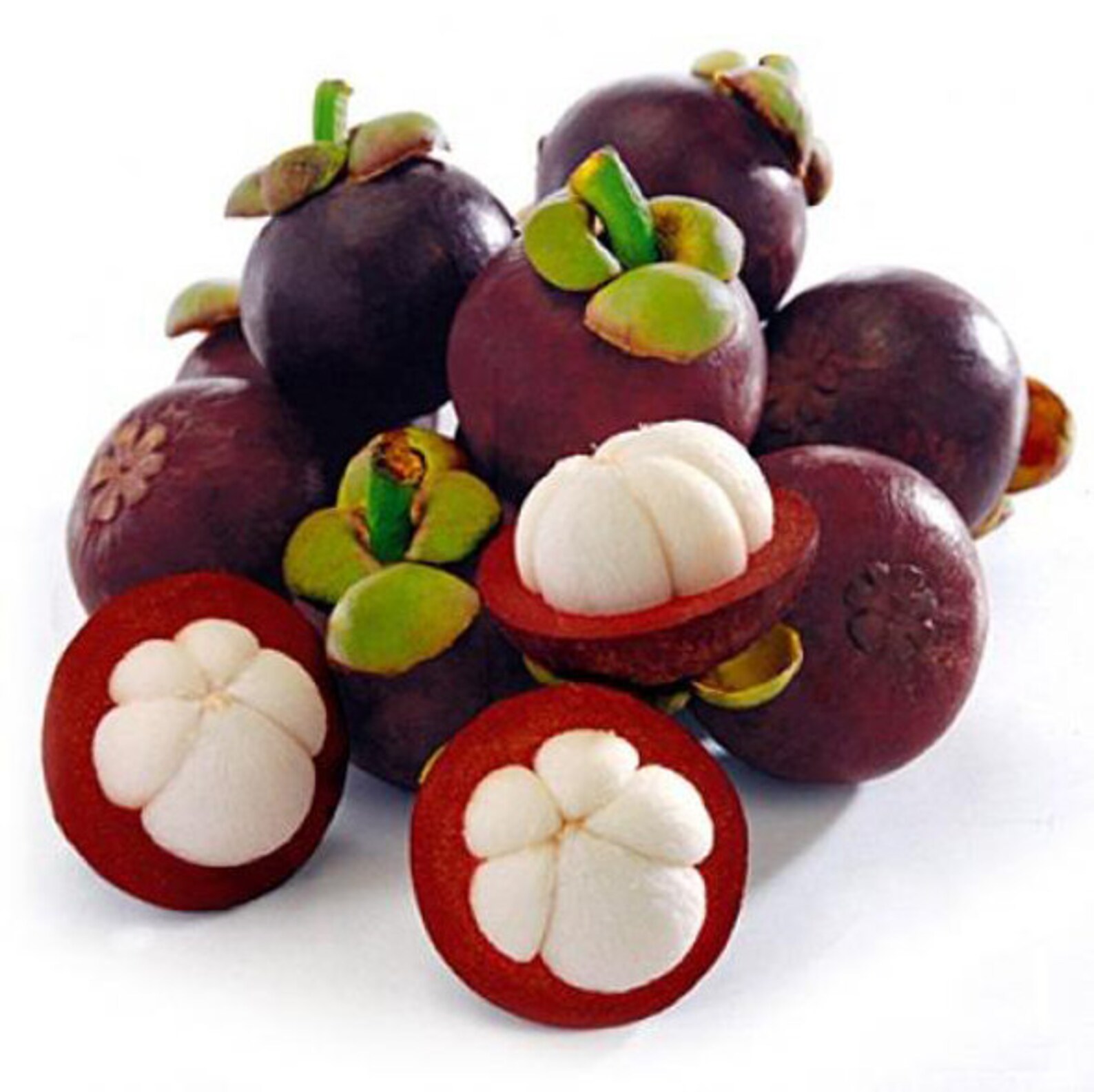 2021 Mangosteen Seeds The Queen of Tropical Fruits Fresh & Etsy