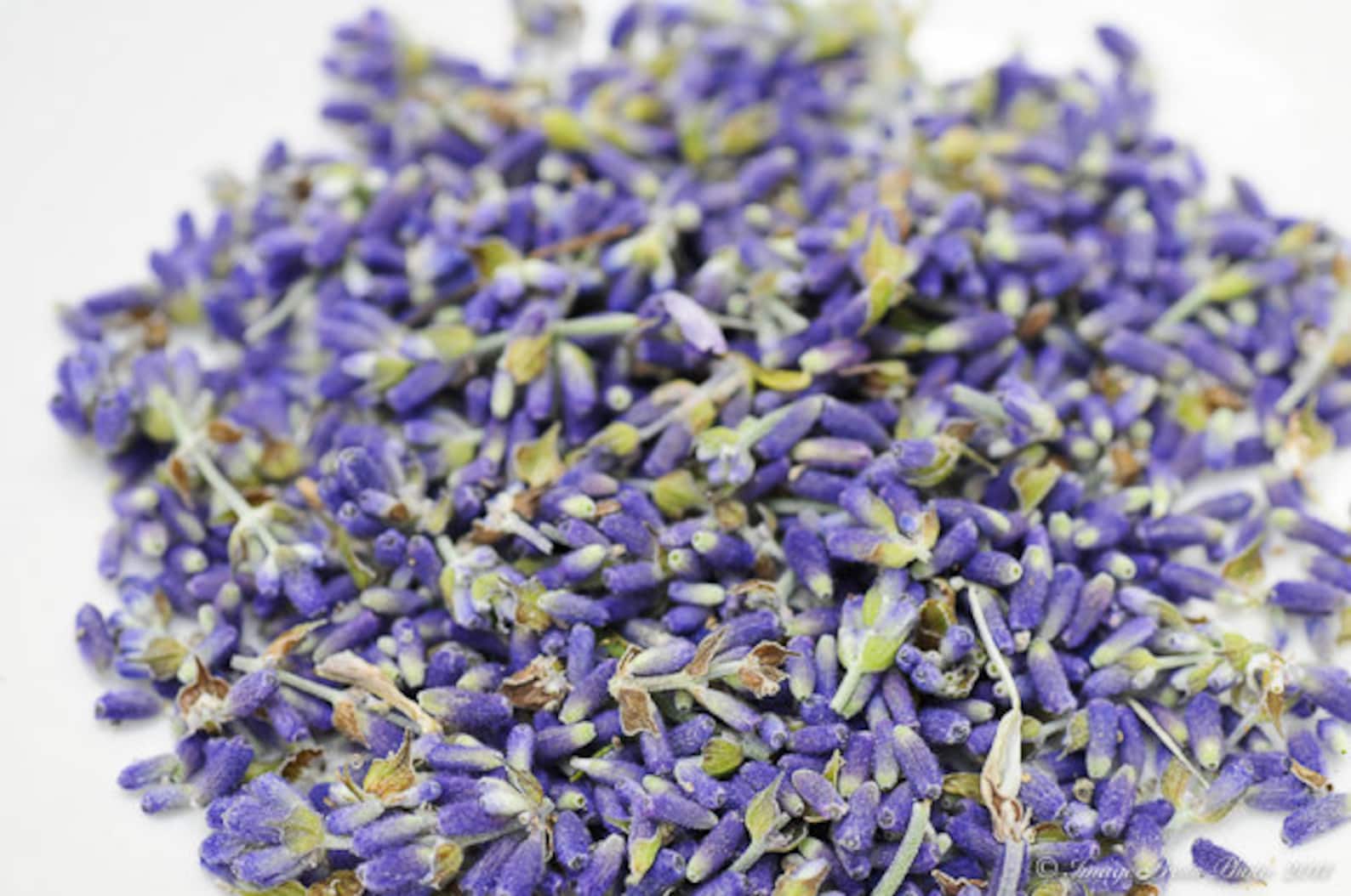 Organic Lavender Buds Culinary Grade Pure or Blend With Etsy
