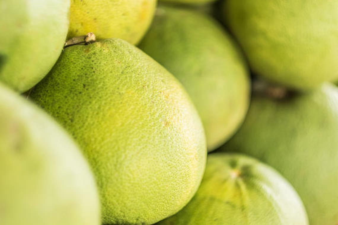 vita plus mangosteen benefits