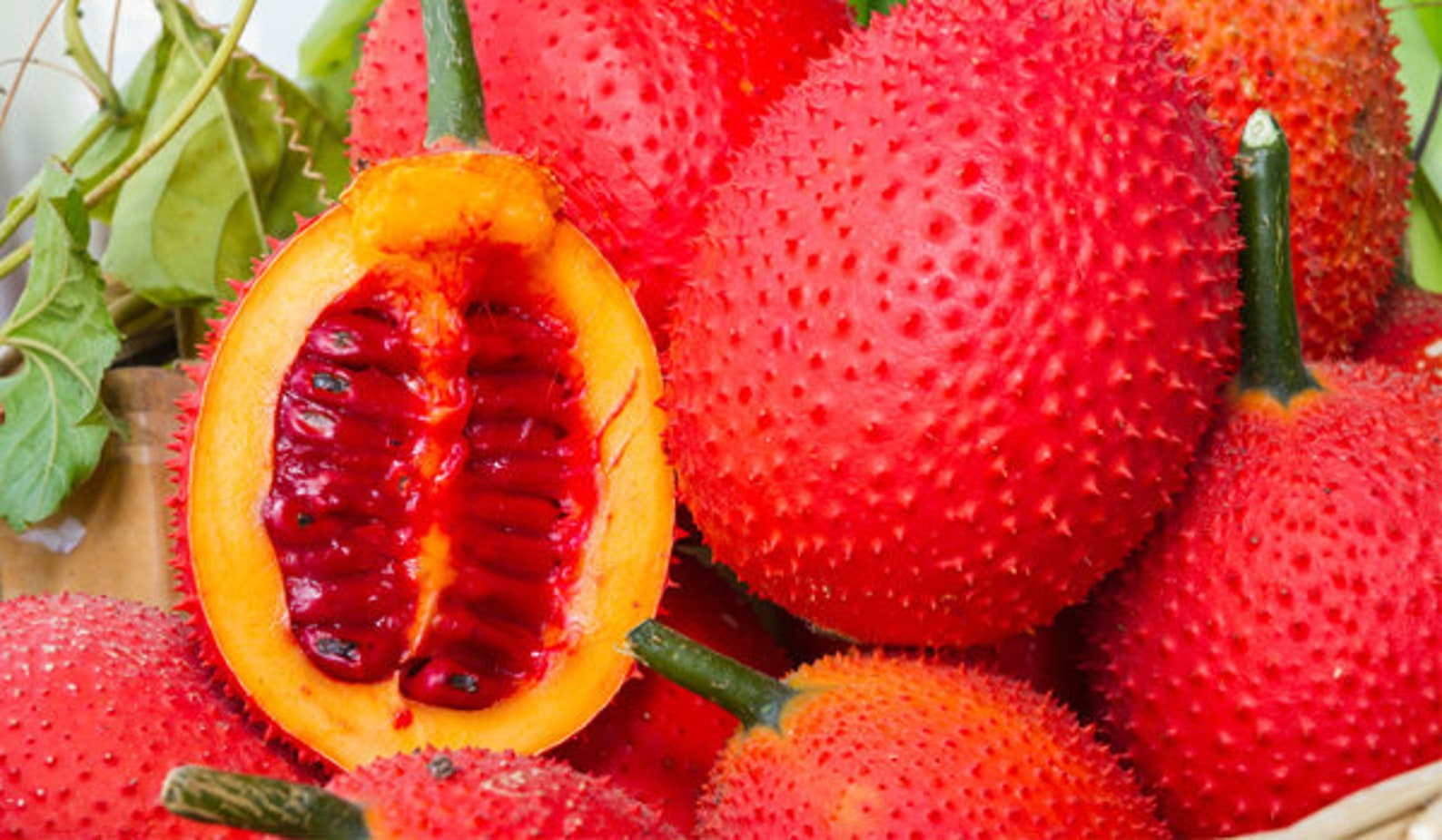 GAC Fruit Seeds Momordica cochinchinensis Spreng/Cochinchin Gourd