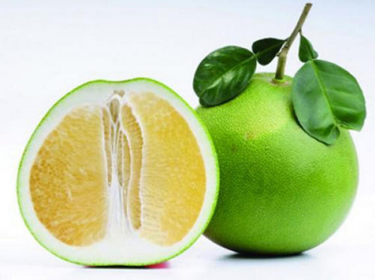 Pomelo Seeds Citrus maxima Fresh & Organic Very Juicy Etsy