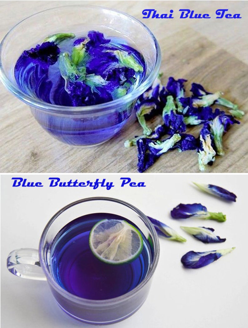 Dried Blue Butterfly Pea Flowers Magical Colorchanging Etsy Canada
