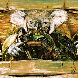 Furry Road: Immortan Koala